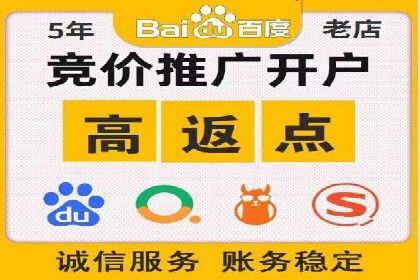 SEM广告投放的技巧与策略——成功案例分享